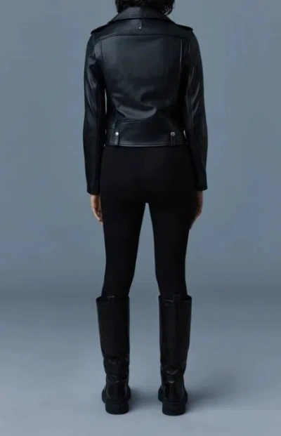 Mackage Jackets In Black