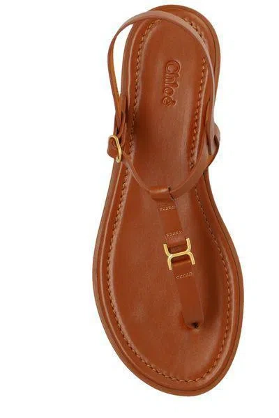 Shop Chloé Sandals In Caramello