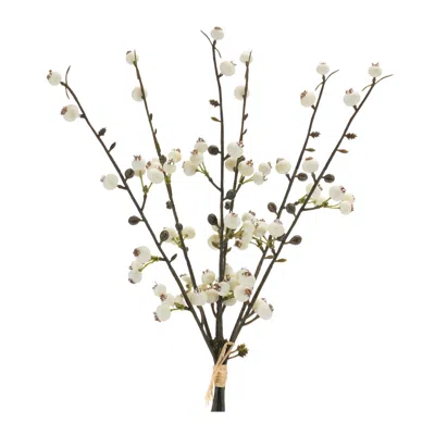 Houzbling Berry Bundle (set Of 6) 14"h Plastic