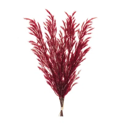 Houzbling Plume Bundle (set Of 6) 31"h