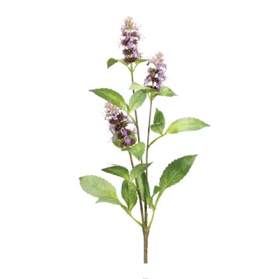 HOUZBLING BUDDLEIA STEM (SET OF 6) 29"H POLYESTER 