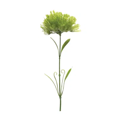 Houzbling Puff Stem (set Of 6) 24"h Plastic