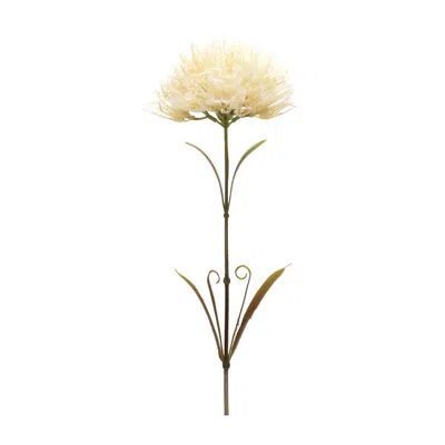 Houzbling Puff Stem (set Of 6) 24"h Plastic