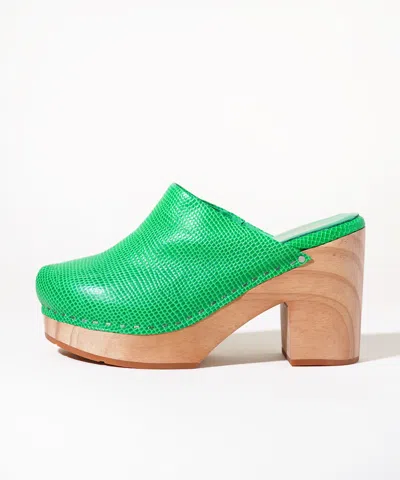 Charlotte Stone Marlo Clogs In Hot Mint