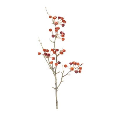 Houzbling Berry Pod Spray (set Of 6) 26"h Foam/plastic
