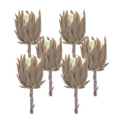 Houzbling Protea Stem (set Of 6) 20"h Plastic