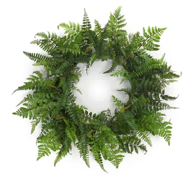 Houzbling Fern Wreath 24"d Plastic