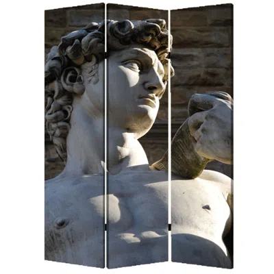 Homezia 48" X 72" Multi Color Wood Canvas Rome Screen