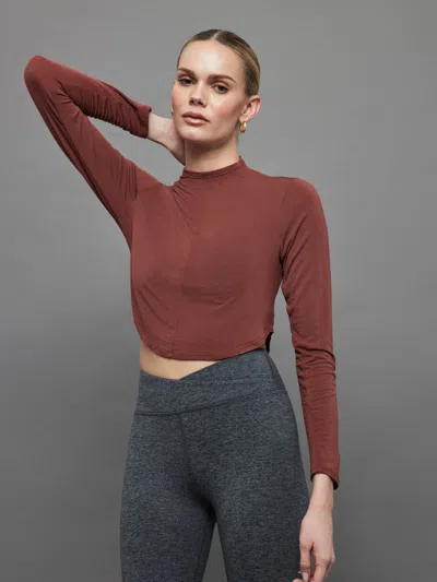 Shop Artemis Diciero Lexi Cashmere Crop In Clay