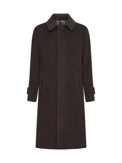 Shop Lardini Coats In Brown