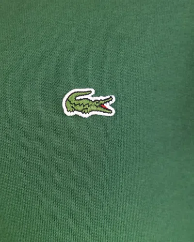 Shop Lacoste Sweatshirt In Green