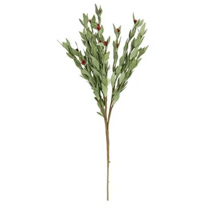 Homegifo *red Pip & Herb Spray