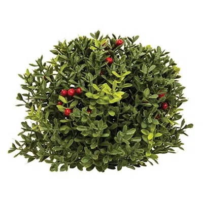 Homegifo New England Boxwood With Berries Half Sphere 8"