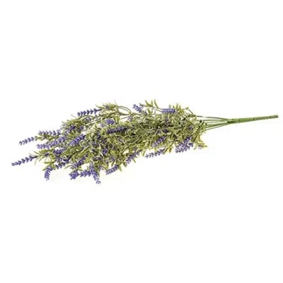 Homegifo English Lavender Bush 22"