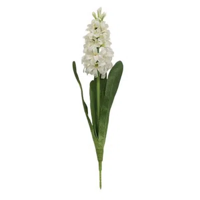 Homegifo White Hyacinth Spray In Green