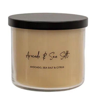 Homegifo Avocado & Sea Salt Color Changing Candle 15.5oz