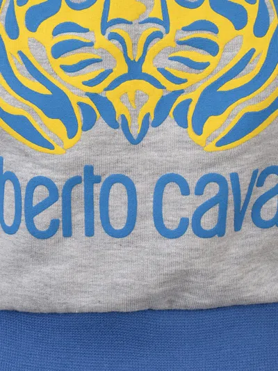 Roberto Cavalli Baby Boys Tiger Zip Up Top 12 Months Grey By Childsplay Clothing In Grey