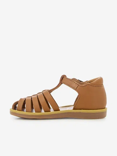 Pom D'api Camel Poppy Pitti Sandals In Brown