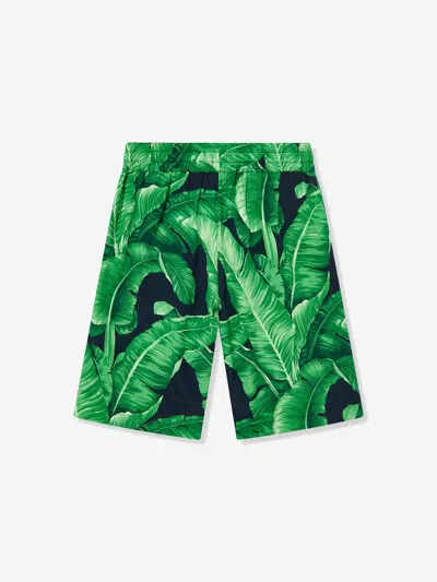 Dolce & Gabbana Boys Banana Leaf Bermuda Shorts In Green
