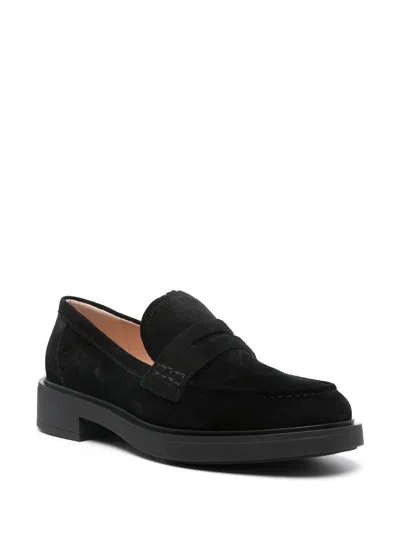 Gianvito Rossi Loafers With Round Toe And Suede Finish In Black