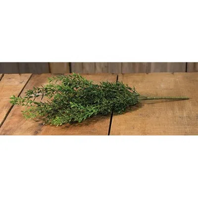 Homegifo New England Boxwood Bush 19"