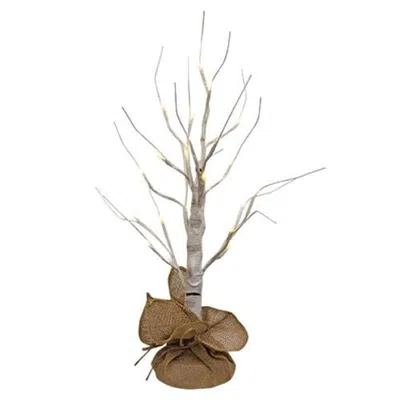 Homegifo Pre-lit Birch Tree W/24 Lights 24"h