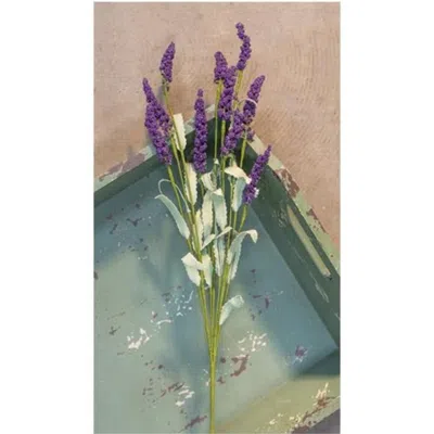 Homegifo Purple Heather Spray