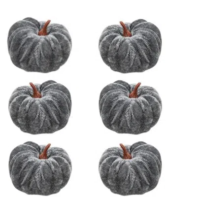 Homegifo *6/set Gray Velvet Pumpkins 2.5"