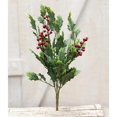 Homegifo Dazzling Holly Bush 14"