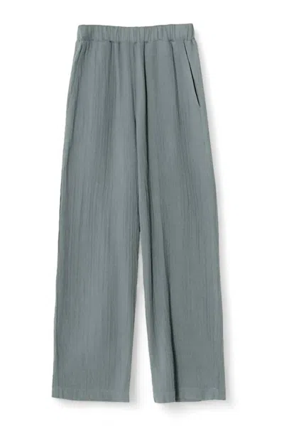 Xirena Women's Darren Pant In Half Moon In Multi