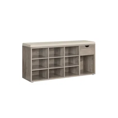 Breebe Storage Bench, Entryway Bench With Cushion, Drawer And Open Compartments