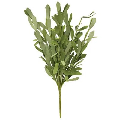 Homegifo Foamy Willow Leaves Bush