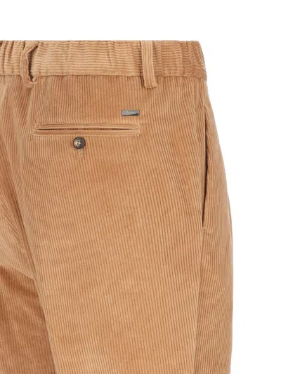 Shop Herno Pants In Brown