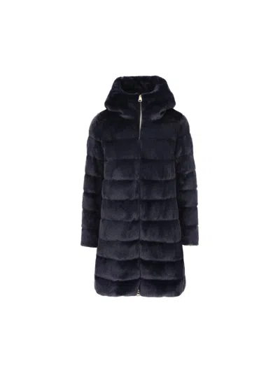 Shop Herno Coats In Blue