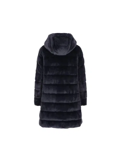 Shop Herno Coats In Blue