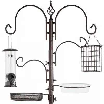 Quikfurn Complete Bird Feeder Set With Bronze Metal Stand Suet Water Bowl Tube And Tray