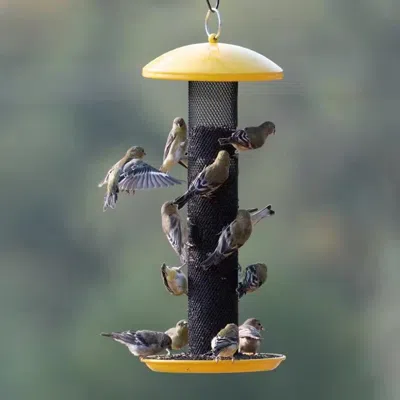 Quikfurn Durable Metal Mesh Tube Hanging Bird Feeder With Yellow Top And Perch