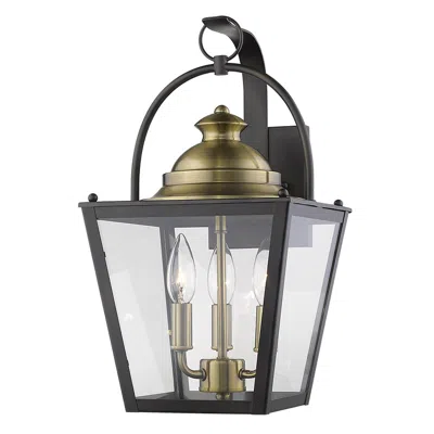 Homezia Savannah 3-light Oil-rubbed Bronze Wall Light