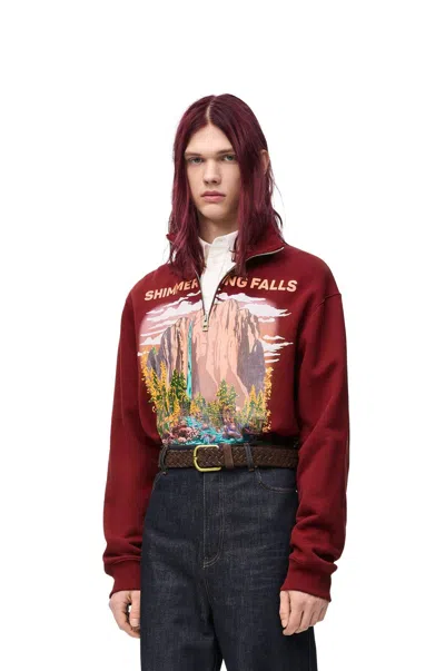 Loewe Graphic Quarter-zip Sweatshirt In Maroon