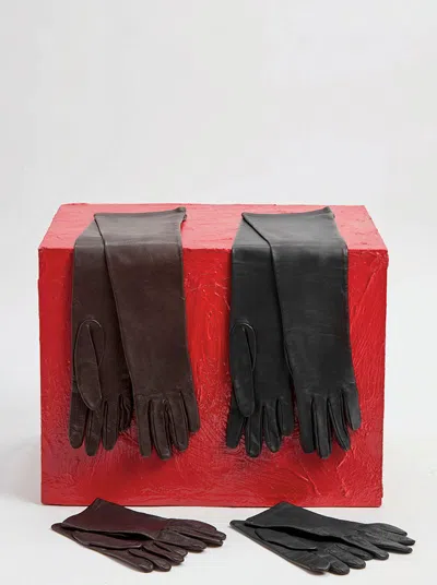 Gabriela Hearst Wessex Short Gloves In Chocolate Nappa Leather In Chocolate