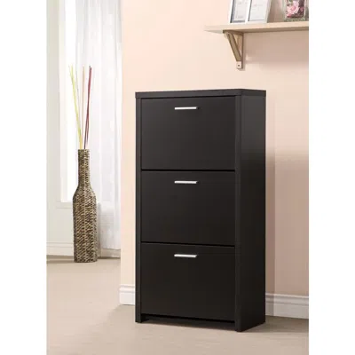 Coaster Co. Of America Vivian 3-drawer Shoe Cabinet Black
