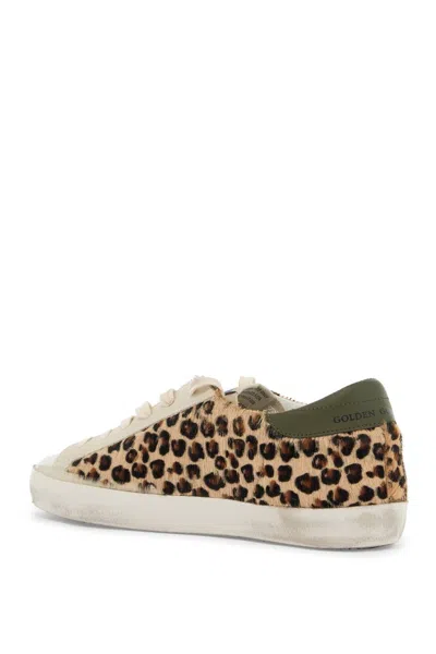 Shop Golden Goose Super Star Ltd Sneakers In Cav In Brown