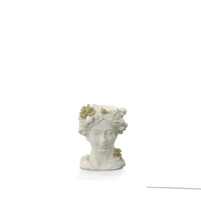 Afd 14.25in Lady Bust