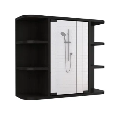 Depot E-shop Roma Mirrored Medicine Cabinet Black Wengue