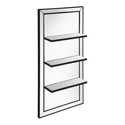 Coaster Co. Of America Oriel 3-shelf Rectangle Wall Mirror