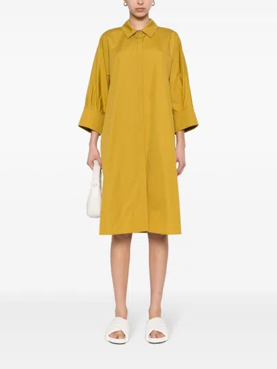 Shop 's Max Mara S Max Mara Cotton Midi Shirtdress In Yellow