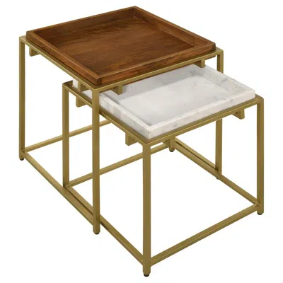 Shop Coaster Bolden 2-piece Square Nesting Table With Recessed Top Gold