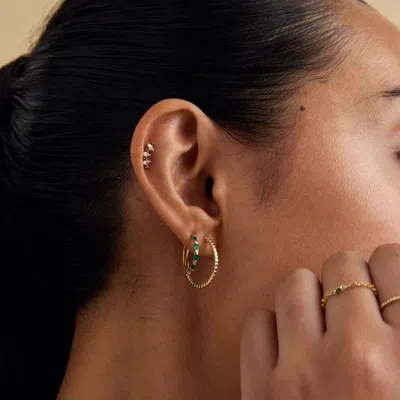 Astrid &amp; Miyu Ridged Hoops In Solid Gold