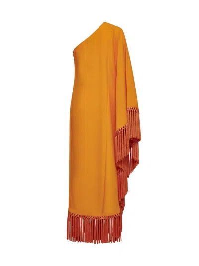 Shop Taller Marmo Dresses In Mandarin