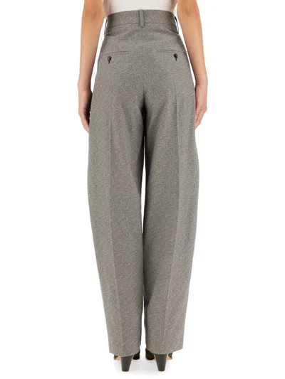 Shop Isabel Marant Sopiavea Pants In Powder